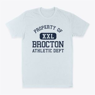 Brocton Illinois Athletic Dept Classic Dad T-Shirt