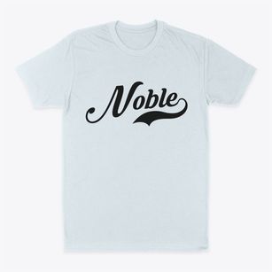 Noble Illinois Vintage Team Classic Dad T-Shirt