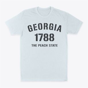  Georgia Established Classic Dad T-Shirt