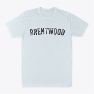 Brentwood New Hampshire Timeless Retro Classic Dad T-Shirt