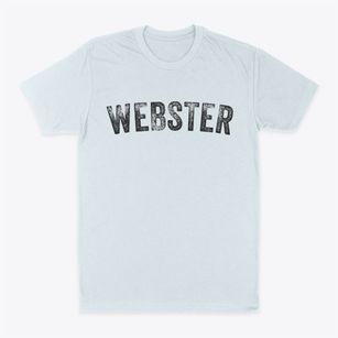 Webster New Hampshire Timeless Retro Classic Dad T-Shirt