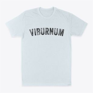 Viburnum Missouri Timeless Retro Classic Dad T-Shirt