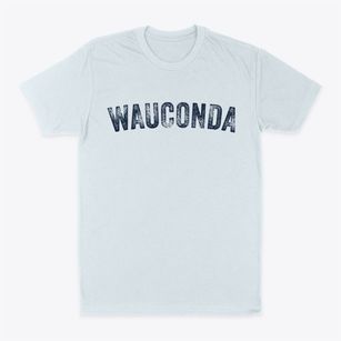 Wauconda Illinois Timeless Retro Classic Dad T-Shirt