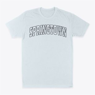 Springtown Texas Trendy Block Classic Dad T-Shirt