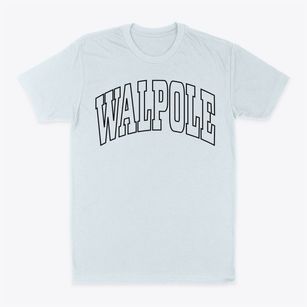 Walpole Massachusetts Trendy Block Classic Dad T-Shirt