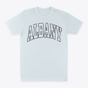 Albany Vermont Trendy Block Classic Dad T-Shirt