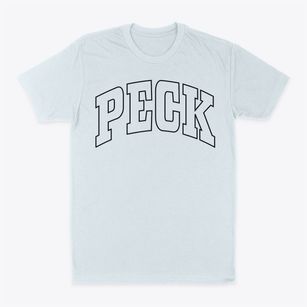 Peck Idaho Trendy Block Classic Dad T-Shirt