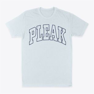 Pleak Texas Trendy Block Classic Dad T-Shirt