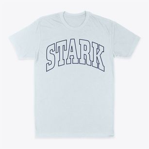 Stark New Hampshire Trendy Block Classic Dad T-Shirt