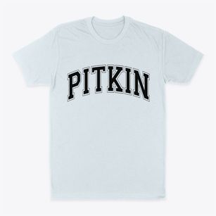 Pitkin Louisiana Varsity Classic Dad T-Shirt