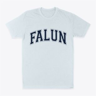 Falun Kansas Varsity Classic Dad T-Shirt