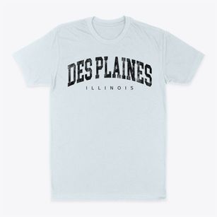 Des Plaines Illinois Urban Vibe Classic Dad T-Shirt