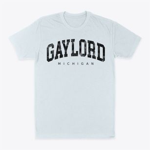 Gaylord Michigan Urban Vibe Classic Dad T-Shirt