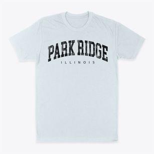 Park Ridge Illinois Urban Vibe Classic Dad T-Shirt