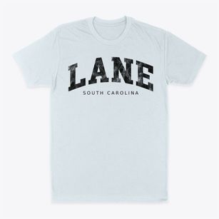 Lane South Carolina Urban Vibe Classic Dad T-Shirt