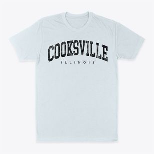Cooksville Illinois Urban Vibe Classic Dad T-Shirt