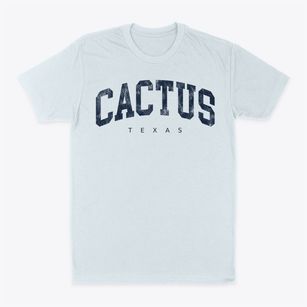 Cactus Texas Urban Vibe Classic Dad T-Shirt