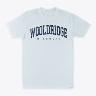 Wooldridge Missouri Urban Vibe Classic Dad T-Shirt