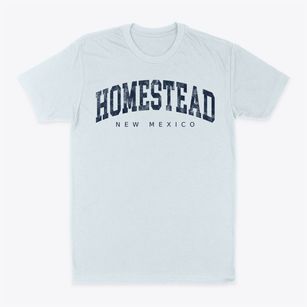 Homestead New Mexico Urban Vibe Classic Dad T-Shirt