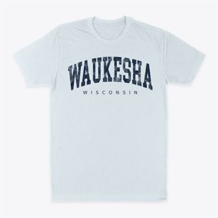 Waukesha Wisconsin Urban Vibe Classic Dad T-Shirt