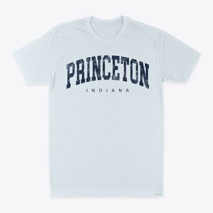 Princeton Indiana Urban Vibe Classic Dad T-Shirt