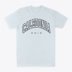 Caledonia Ohio Inline Classic Dad T-Shirt