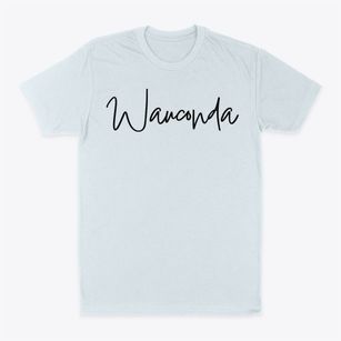 Wauconda Illinois Freestyle Classic Dad T-Shirt