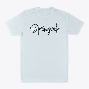 Springvale New York Freestyle Classic Dad T-Shirt