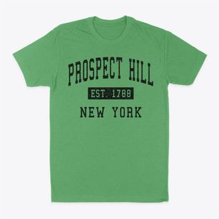 Prospect Hill New York Classic Established Classic Dad T-Shirt