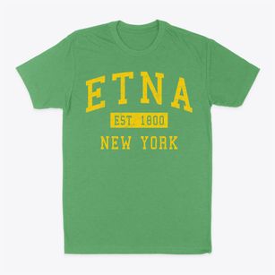 Etna New York Classic Established Classic Dad T-Shirt