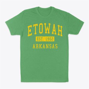 Etowah Arkansas Classic Established Classic Dad T-Shirt
