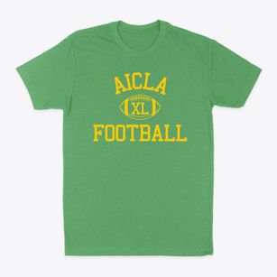 Art Institute Of California Los Angeles Classic Football Classic Dad T-Shirt