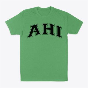 Ahi Ezer Yeshiva School Varsity Arch Classic Dad T-Shirt