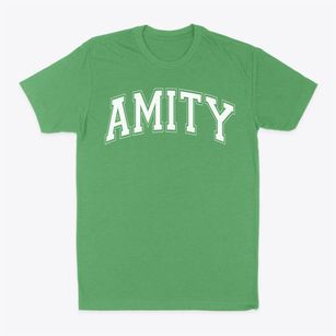 Amity Middle School Varsity Arch Classic Dad T-Shirt