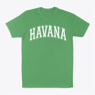Havana Elementary School Varsity Arch Classic Dad T-Shirt