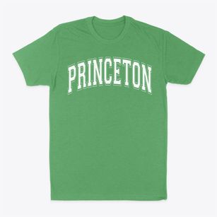 Princeton Community Middle School Varsity Arch Classic Dad T-Shirt