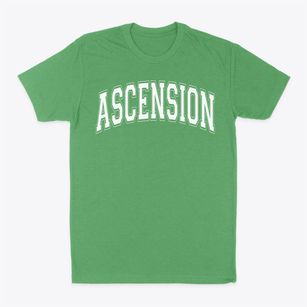 Ascension Elementary School Varsity Arch Classic Dad T-Shirt
