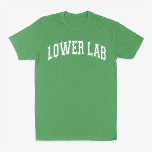 Lower Lab School Varsity Arch Classic Dad T-Shirt