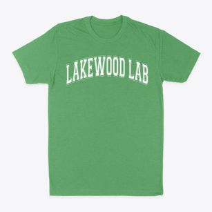 Lakewood Accelerated Lab School Varsity Arch Classic Dad T-Shirt