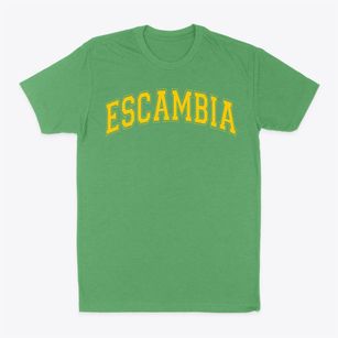 Escambia Academy Varsity Arch Classic Dad T-Shirt