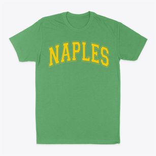 Naples Sda Christian School Varsity Arch Classic Dad T-Shirt