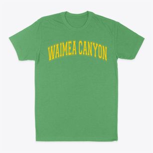 Waimea Canyon Elementary School Varsity Arch Classic Dad T-Shirt
