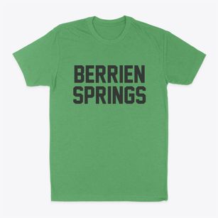 Berrien Springs Michigan Classic Block Classic Dad T-Shirt