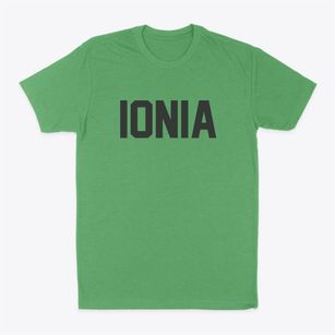 Ionia Michigan Classic Block Classic Dad T-Shirt