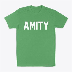 Amity New York Classic Block Classic Dad T-Shirt