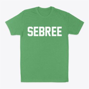 Sebree Kentucky Classic Block Classic Dad T-Shirt