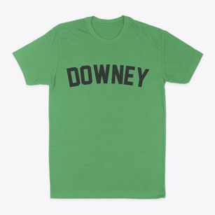 Downey California Classic Curve Classic Dad T-Shirt
