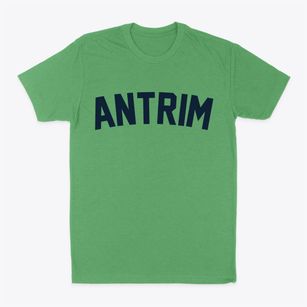 Antrim New Hampshire Classic Curve Classic Dad T-Shirt