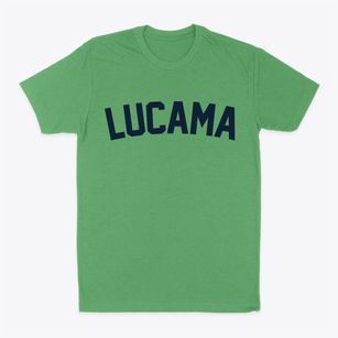 Lucama North Carolina Classic Curve Classic Dad T-Shirt