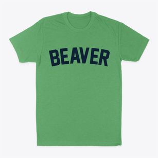 Beaver Arkansas Classic Curve Classic Dad T-Shirt